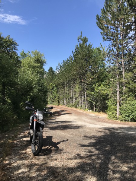 IMG_2201 - 2048.jpeg