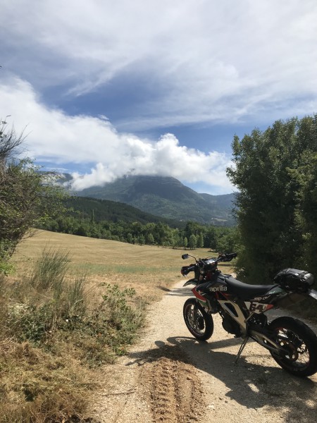 IMG_2200 - 2048.jpeg