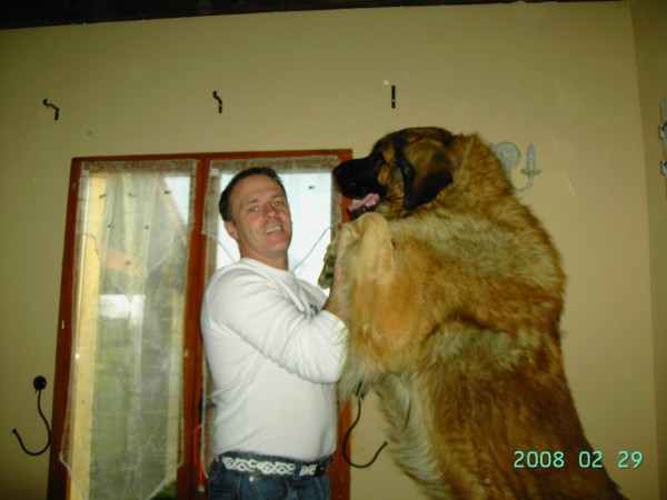 divers a trier 189.JPG