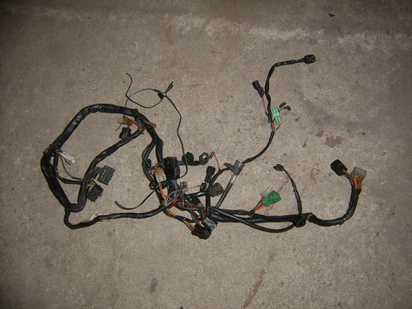 SUC51517.JPG