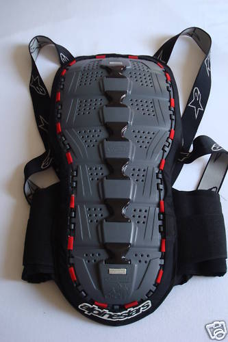 dorsal10.jpg