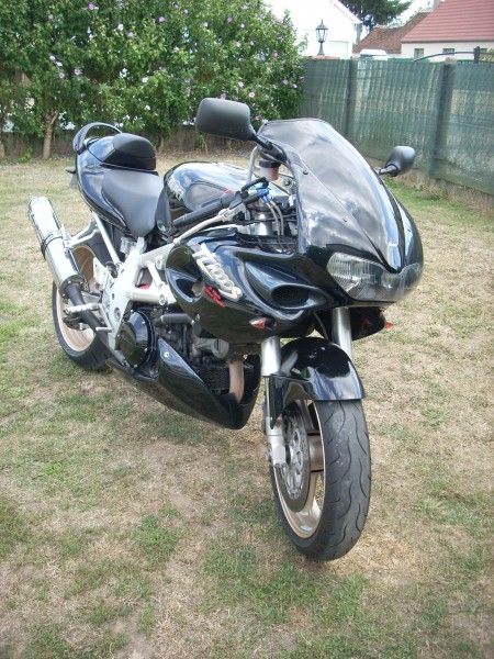 tls aout 2010 006.jpg