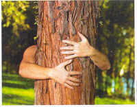 toucher du bois.jpg