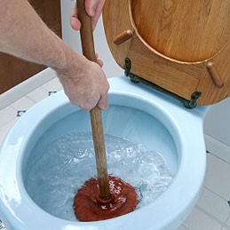 deboucheur-WC.jpg